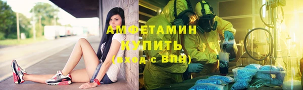 сатива Михайловка