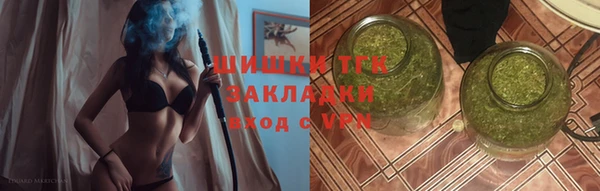 сатива Михайловка