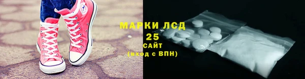 PSILOCYBIN Михайлов