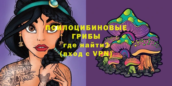 сатива Надым