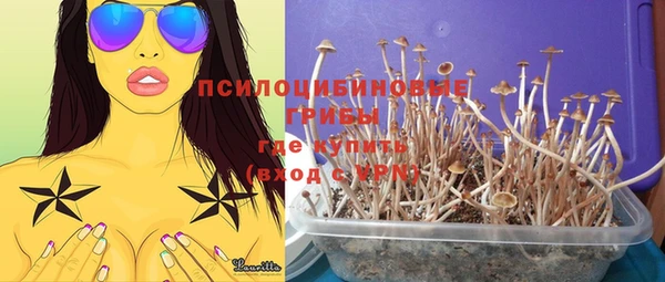 PSILOCYBIN Михайлов