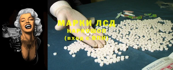 сатива Надым