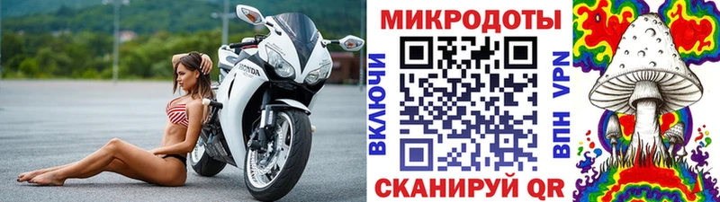 Галлюциногенные грибы мухоморы  где продают наркотики  Знаменск 