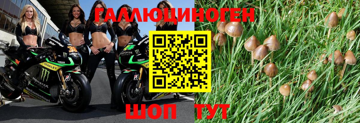 Галлюциногенные грибы прущие грибы  Знаменск 