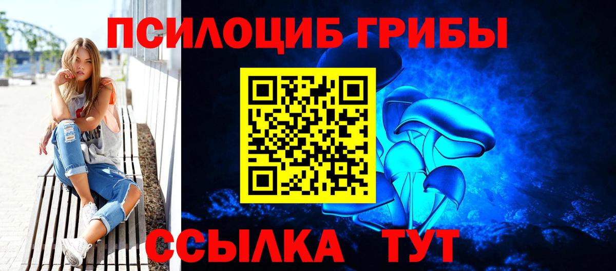 купить наркотик  Псилоцибиновые грибы GOLDEN TEACHER  Вход с VPN  Знаменск 