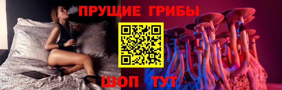 Псилоцибиновые грибы прущие грибы Знаменск